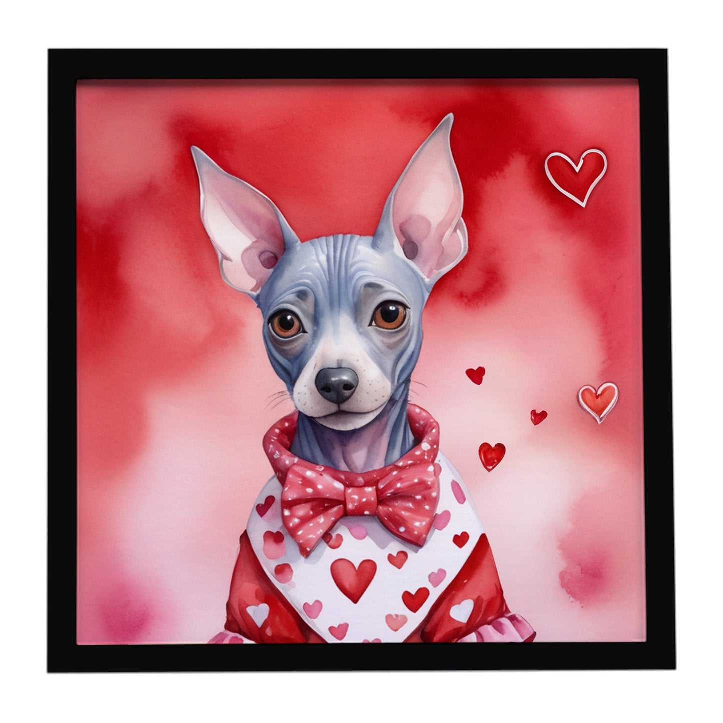American Hairless Terrier My Valentine Framed Metal Print
