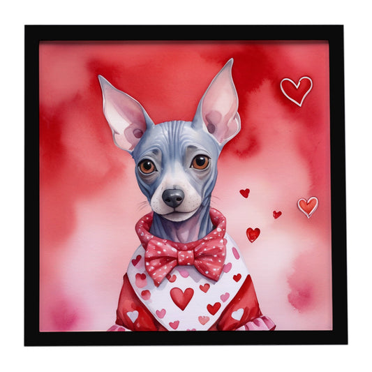 American Hairless Terrier My Valentine Framed Metal Print