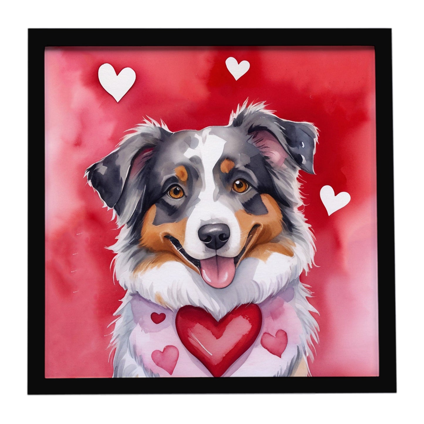 Australian Shepherd My Valentine Framed Metal Print