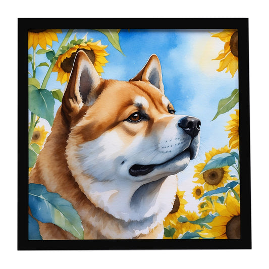 Akita in Sunflowers Framed Metal Print