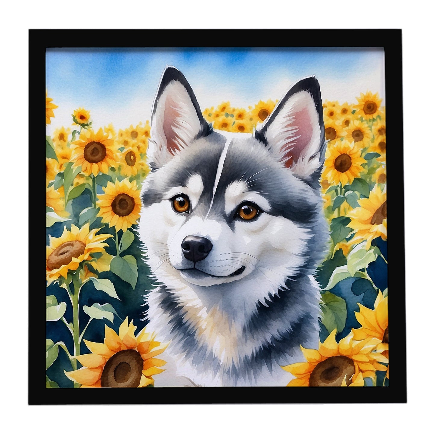 Alaskan Klee Kai in Sunflowers Framed Metal Print