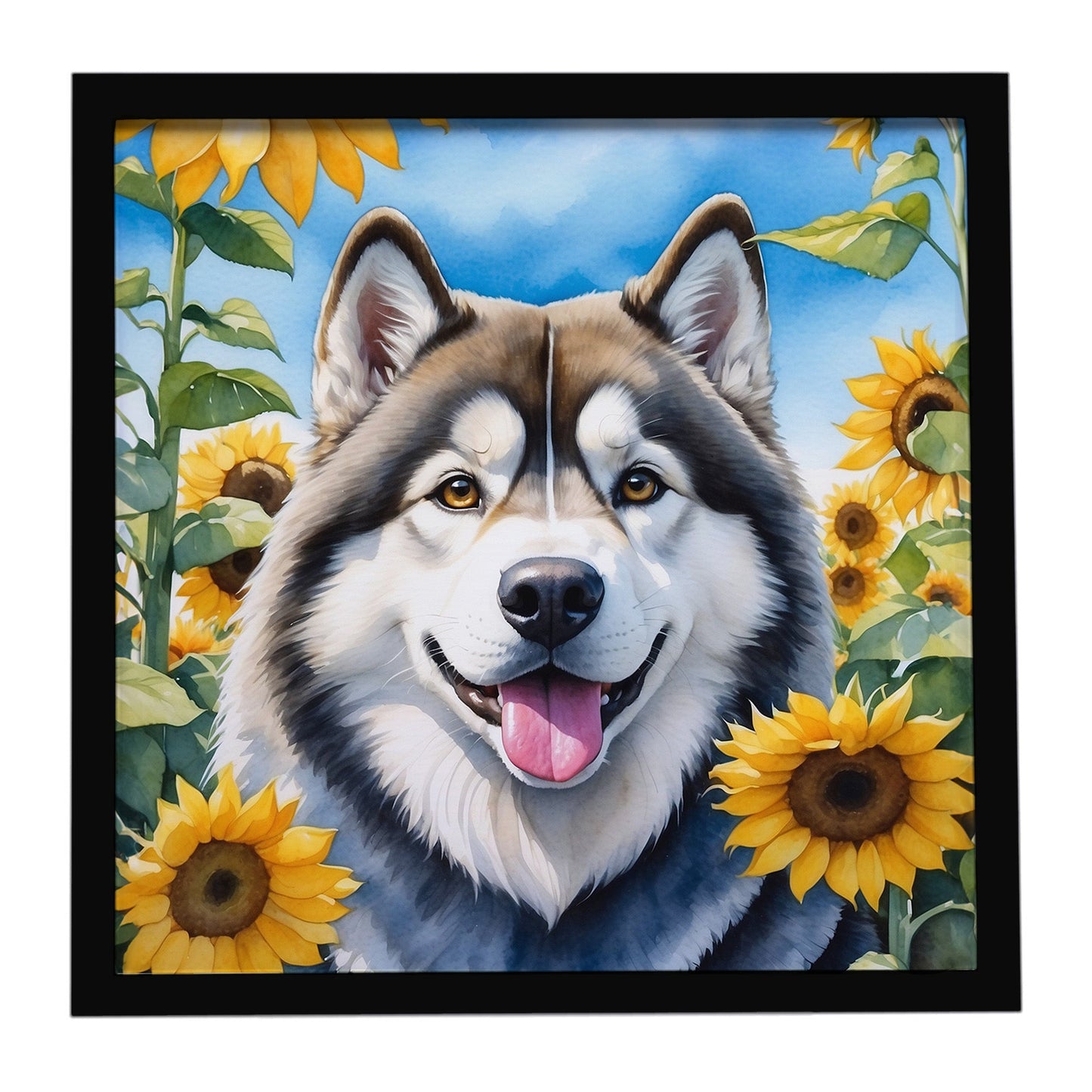 Alaskan Malamute in Sunflowers Framed Metal Print