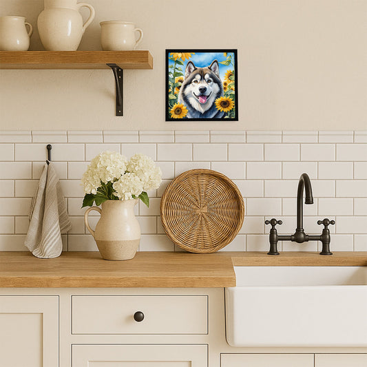 Alaskan Malamute in Sunflowers Framed Metal Print