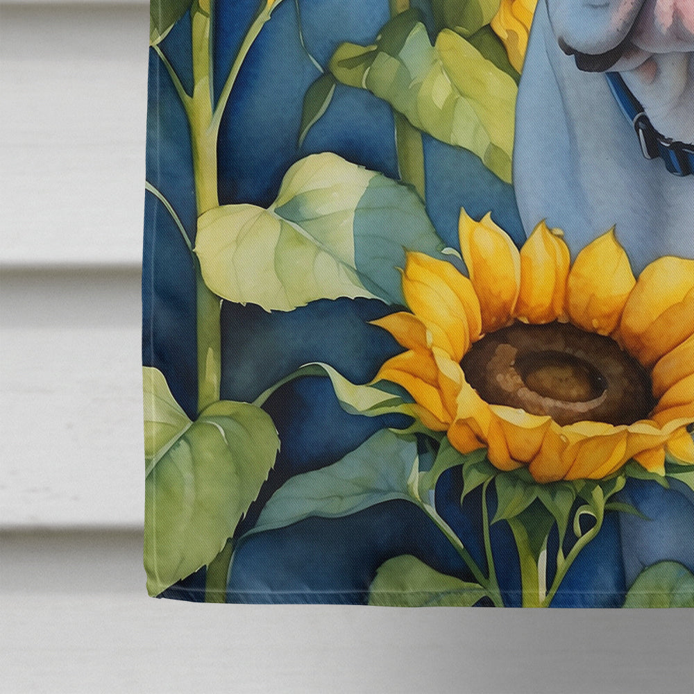 American Bulldog in Sunflowers House Flag