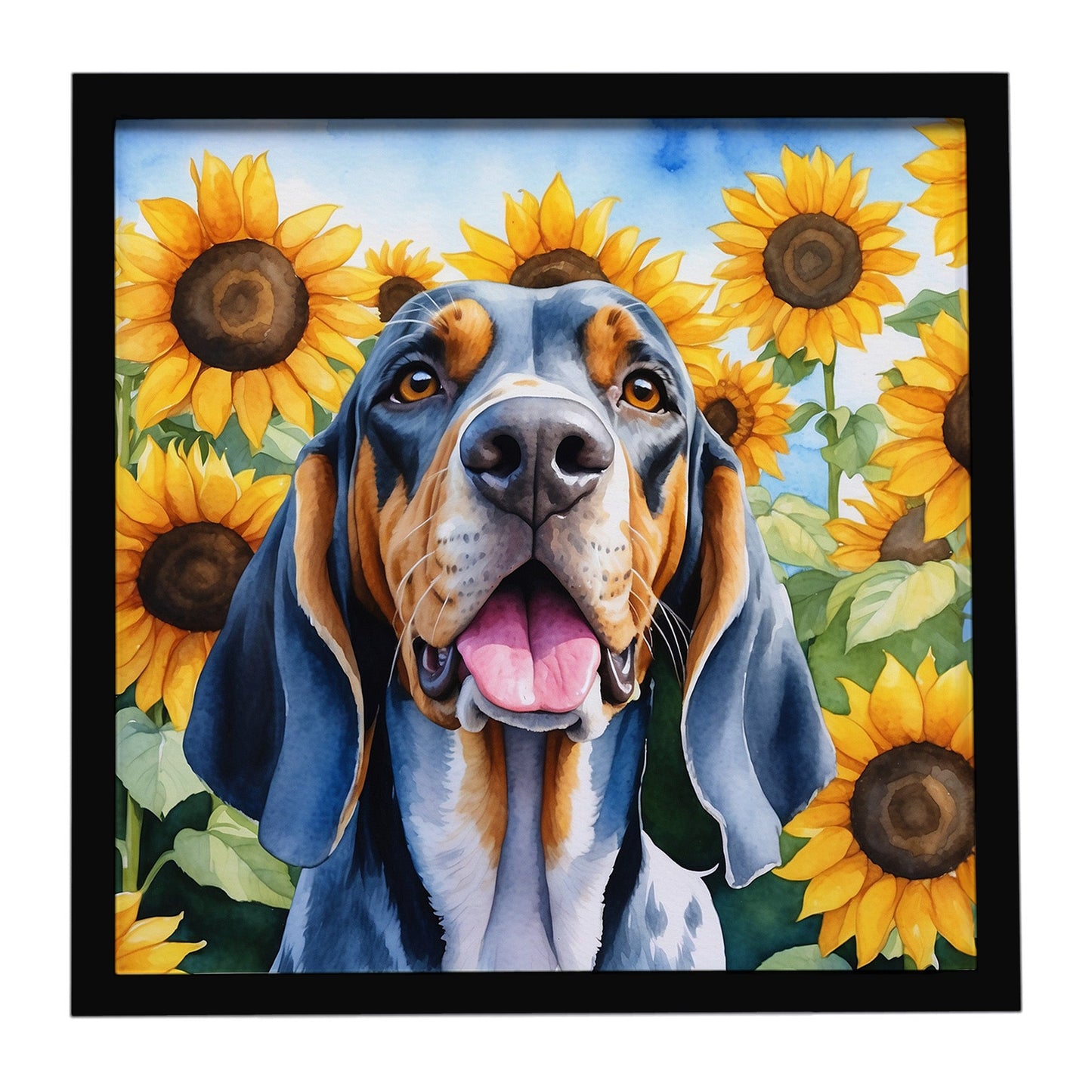 American English Coonhound in Sunflowers Framed Metal Print