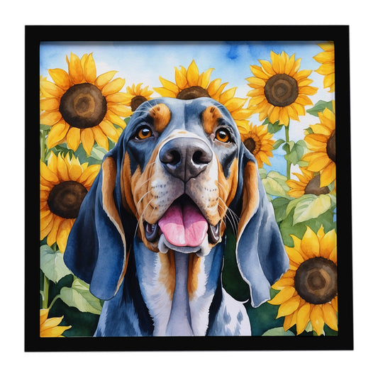American English Coonhound in Sunflowers Framed Metal Print