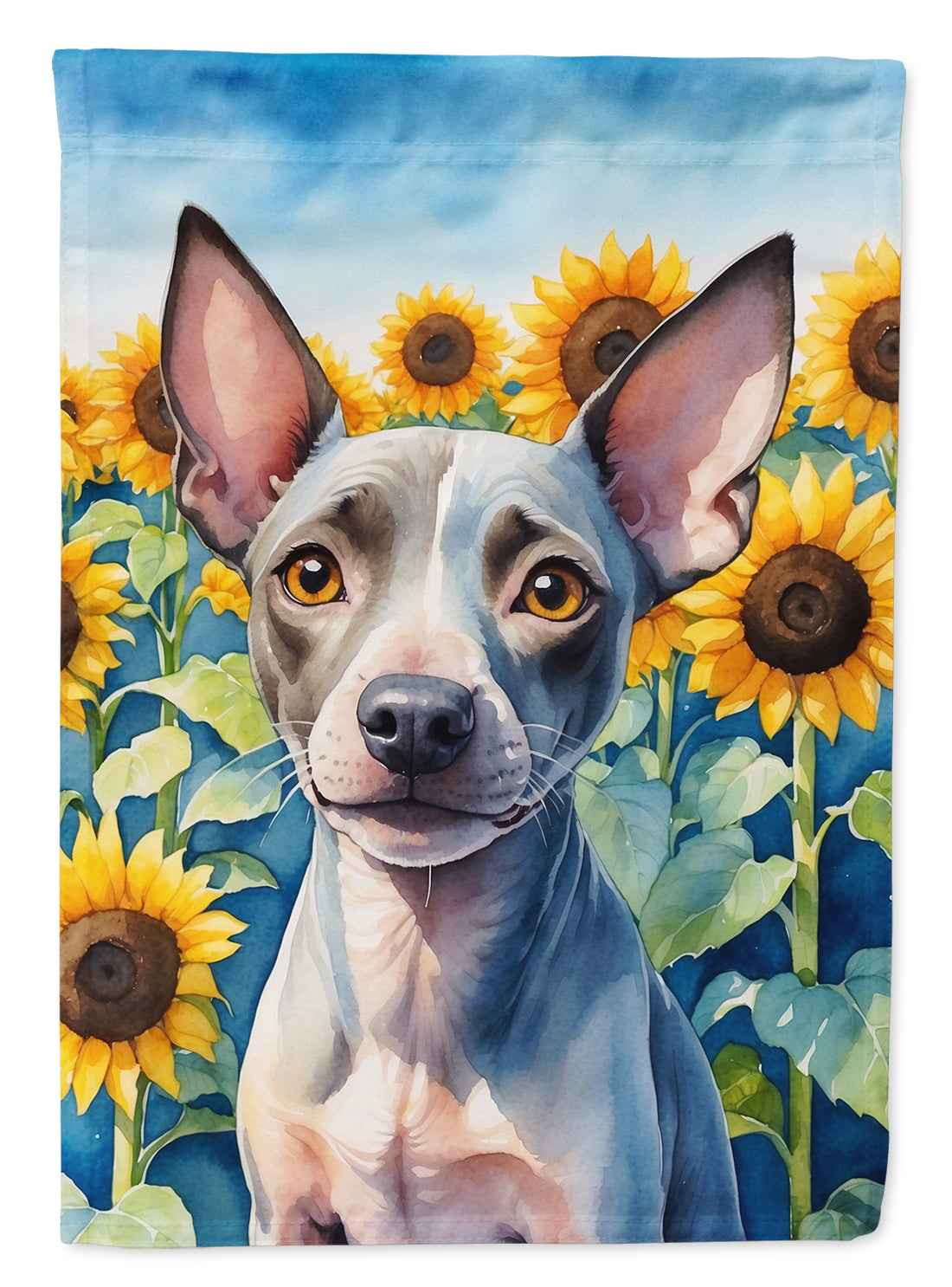 American Hairless Terrier in Sunflowers House Flag