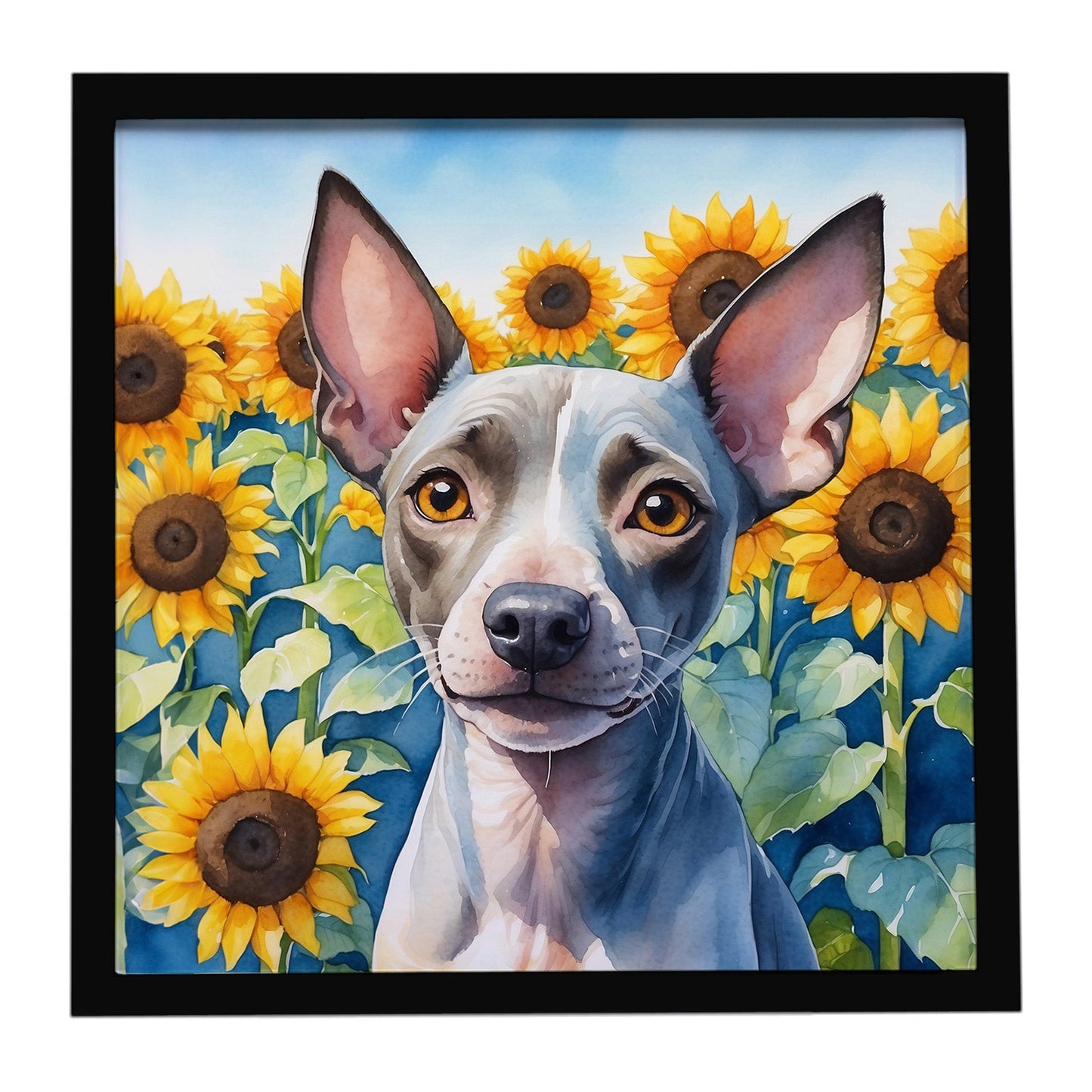 American Hairless Terrier in Sunflowers Framed Metal Print