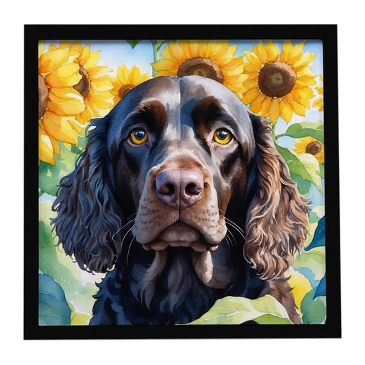American Water Spaniel in Sunflowers Framed Metal Print