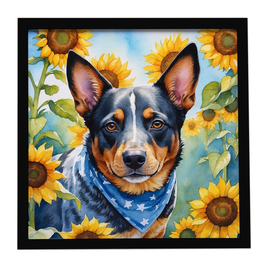 Australian Cattle Dog in Sunflowers Framed Metal Print