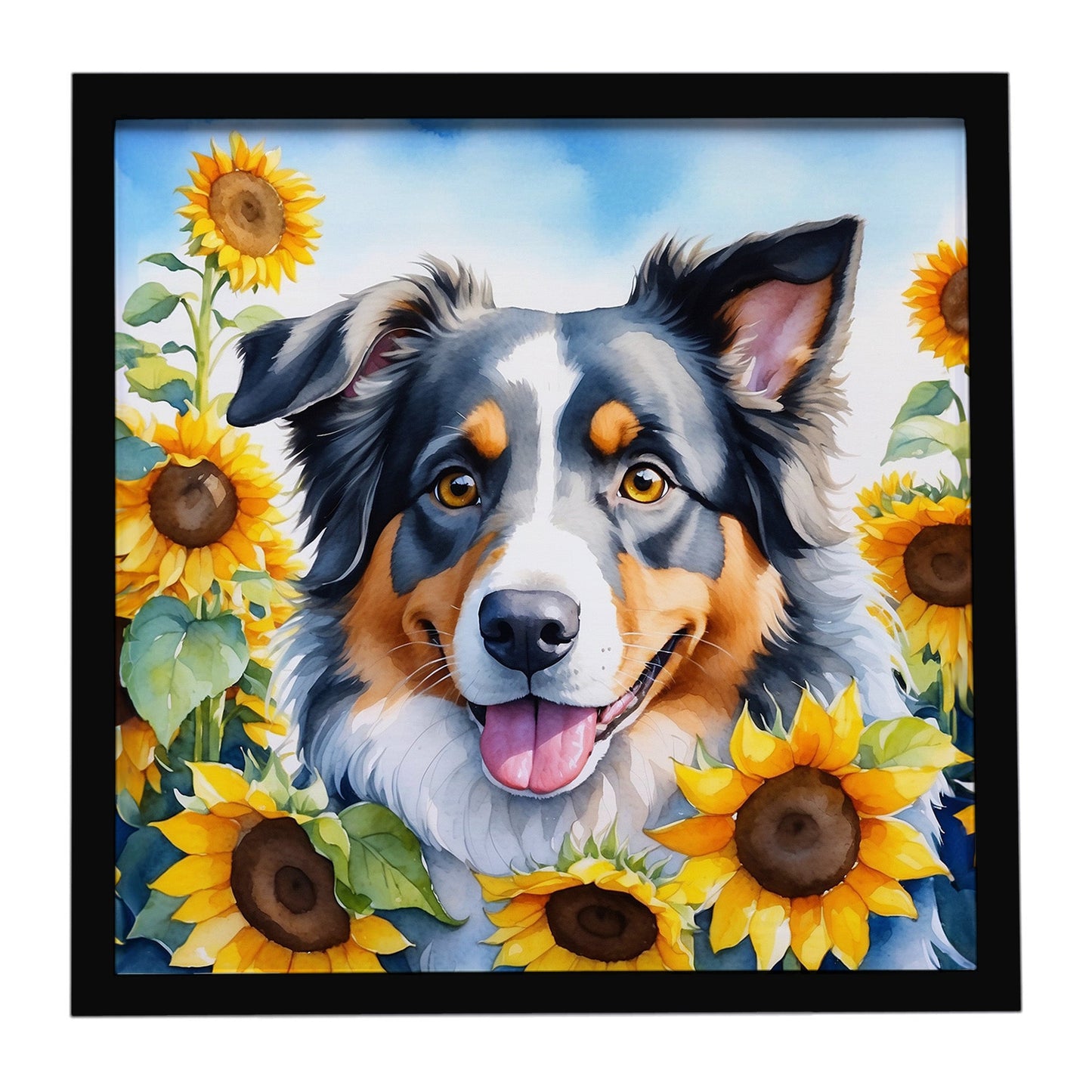Australian Shepherd in Sunflowers Framed Metal Print