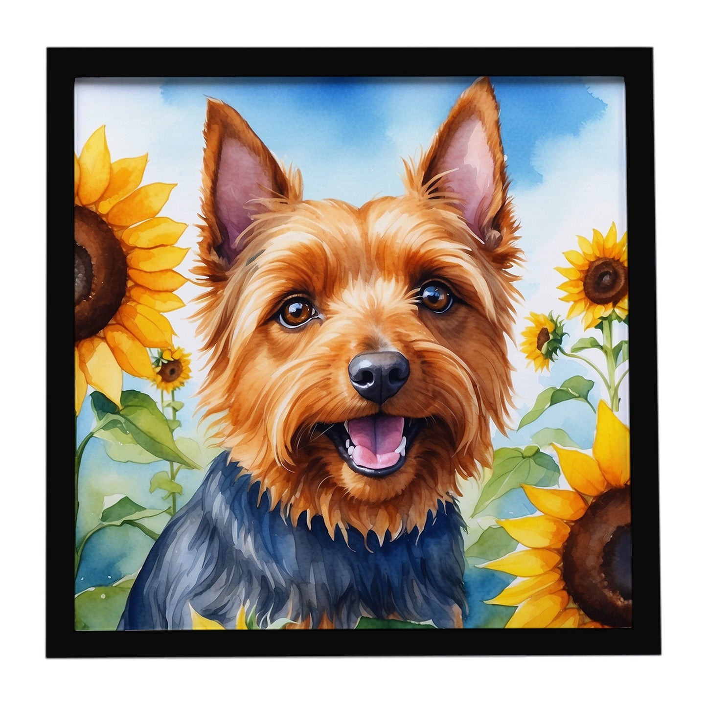 Australian Terrier in Sunflowers Framed Metal Print