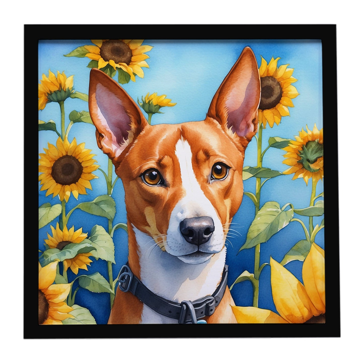 Basenji in Sunflowers Framed Metal Print