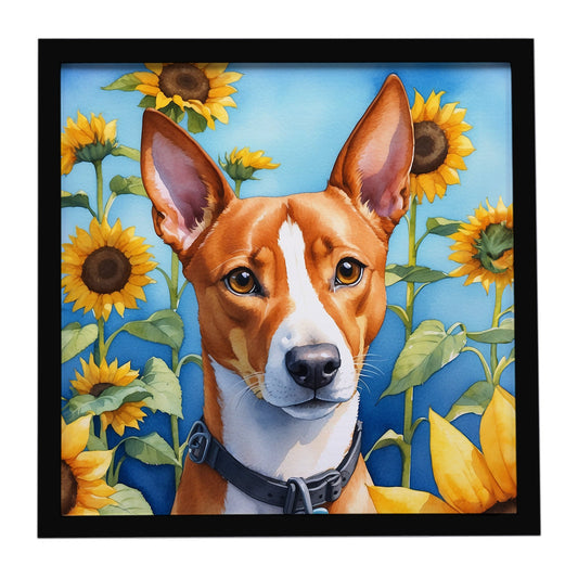 Basenji in Sunflowers Framed Metal Print