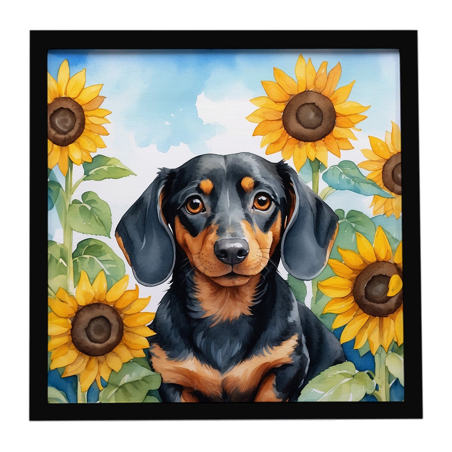 Dachshund in Sunflowers Framed Metal Print