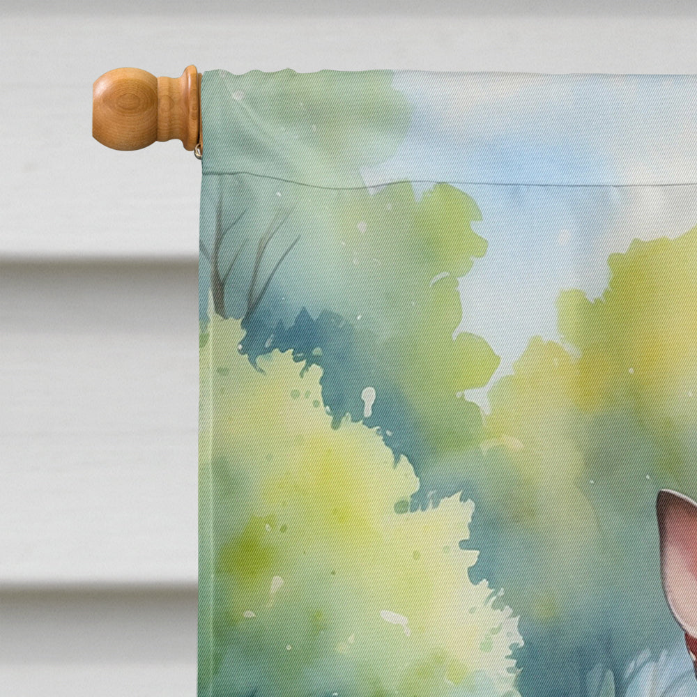American Hairless Terrier Spring Path House Flag