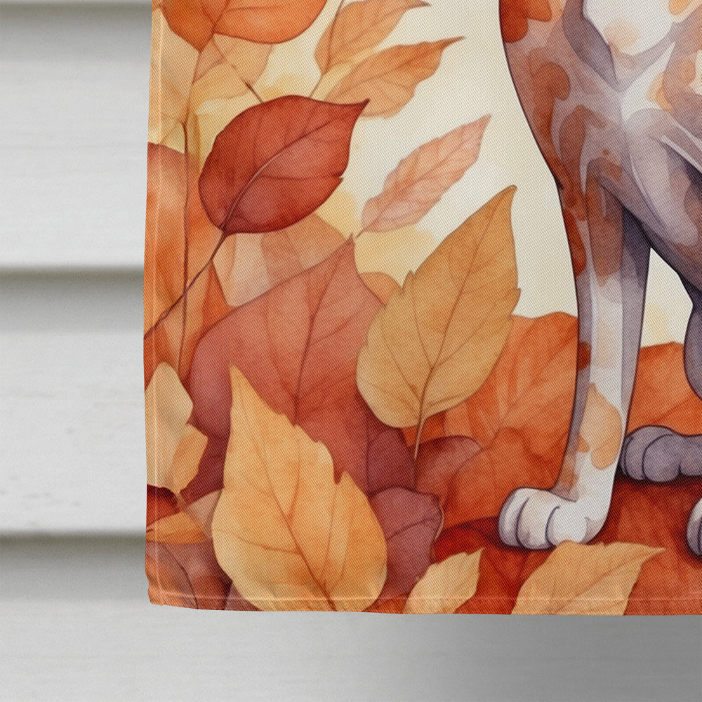 Devon Rex Cat in Fall Leaves House Flag
