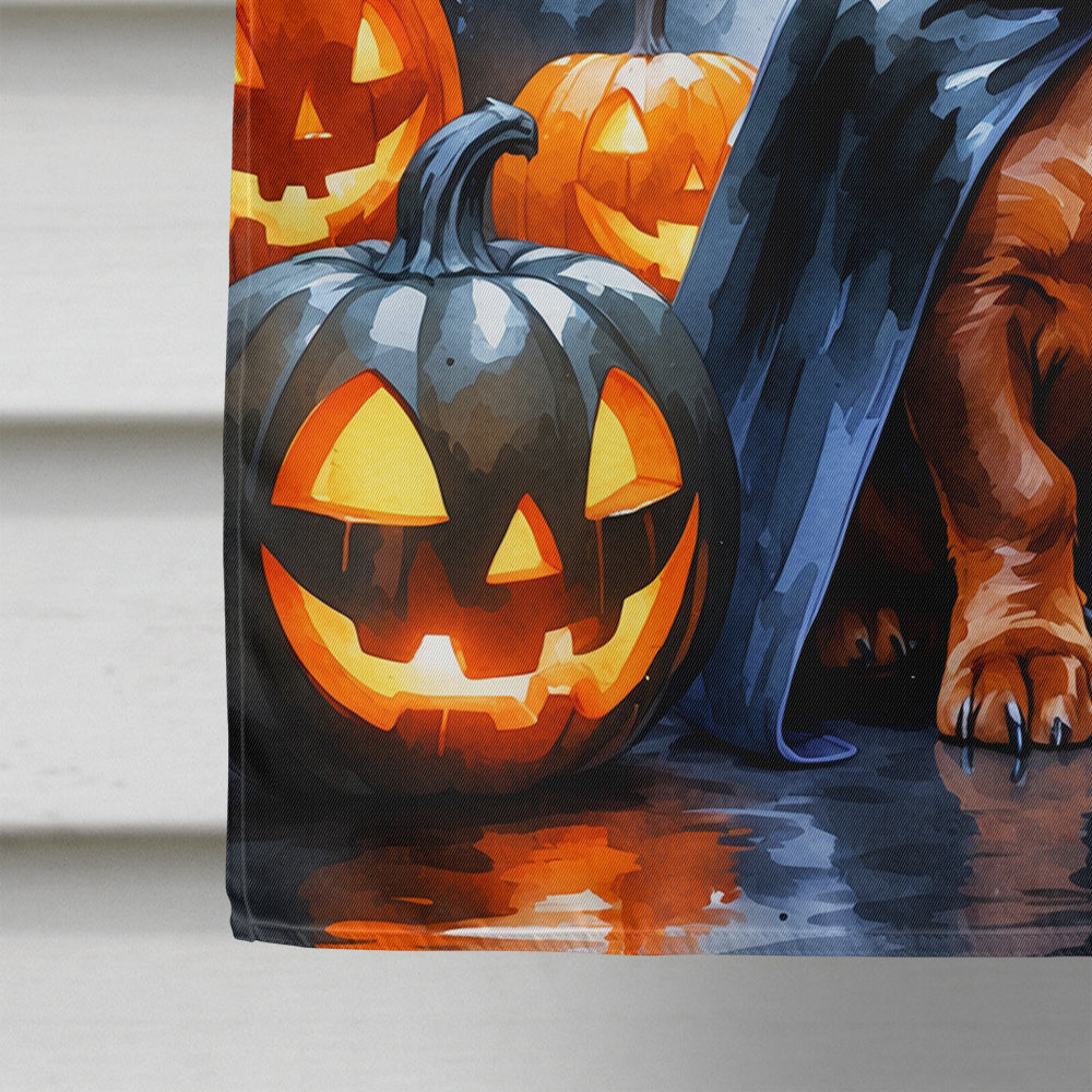 Red Dachshund Puppy Halloween House Flag