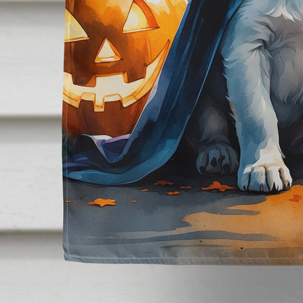 Jack Russell Terrier Puppy Halloween House Flag