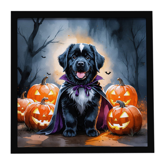 Newfoundland Puppy Halloween Framed Metal Print