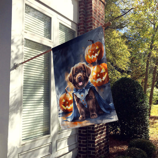 Chocolate Newfoundland Puppy Halloween House Flag