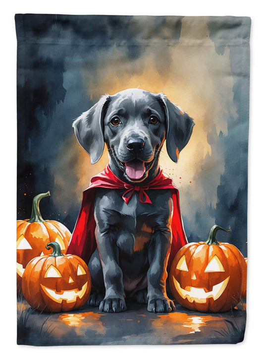 Weimaraner Puppy Halloween House Flag