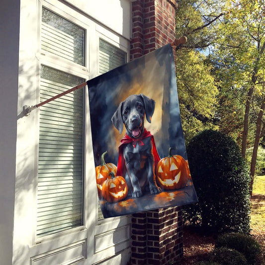 Weimaraner Puppy Halloween House Flag