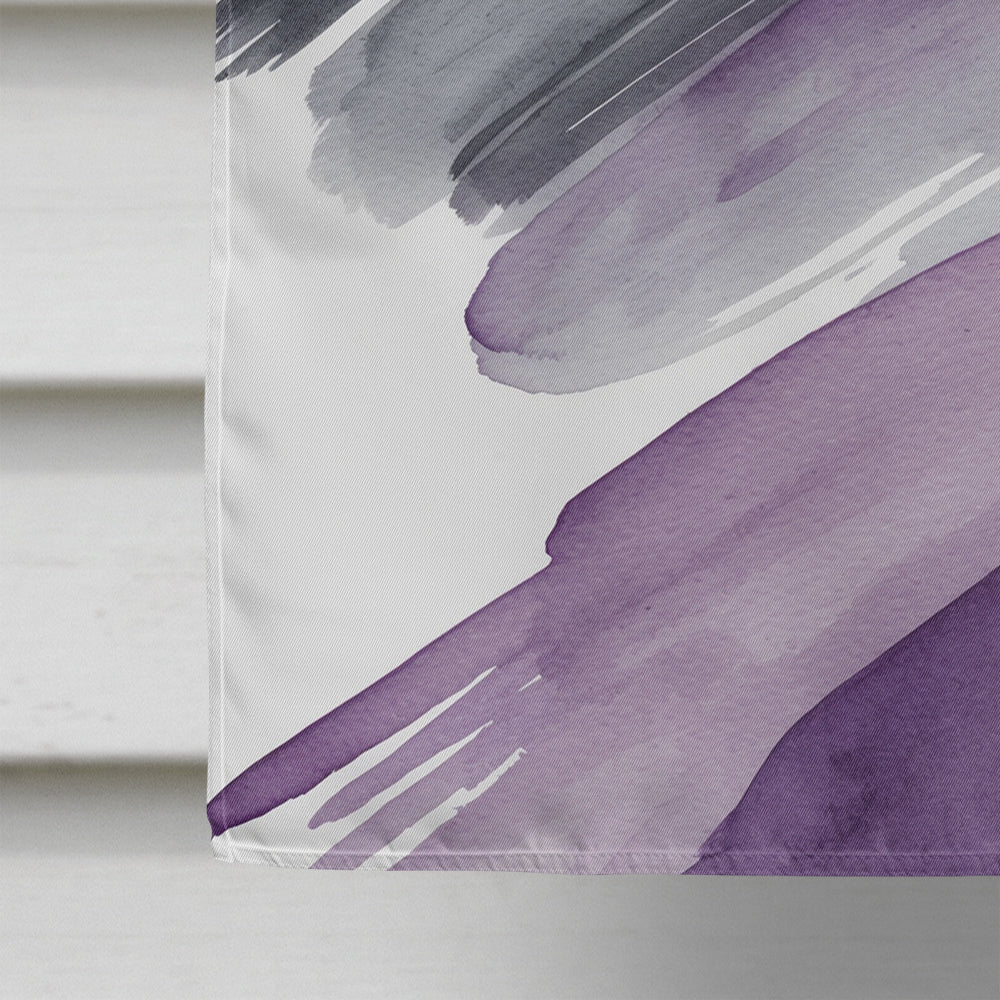 Asexual Pride House Flag