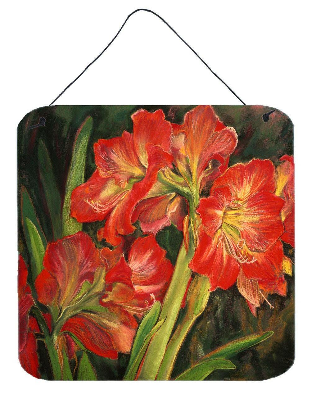 Amaryllis by Neil Drury Wall or Door Hanging Prints DND0091DS66