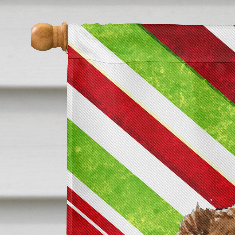 Australian Shepherd Candy Cane Holiday Christmas  Flag Canvas House Size