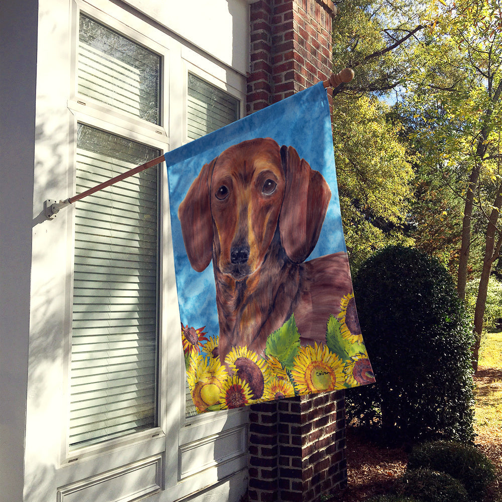 Dachshund Flag Canvas House Size