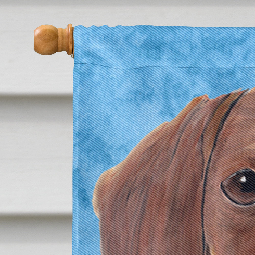 Dachshund Flag Canvas House Size