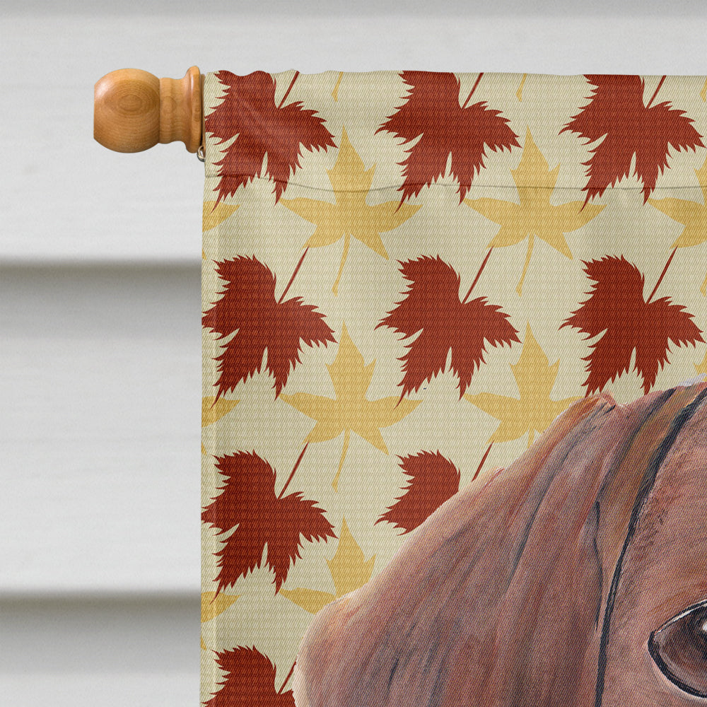 Dachshund Fall Leaves Portrait Flag Canvas House Size