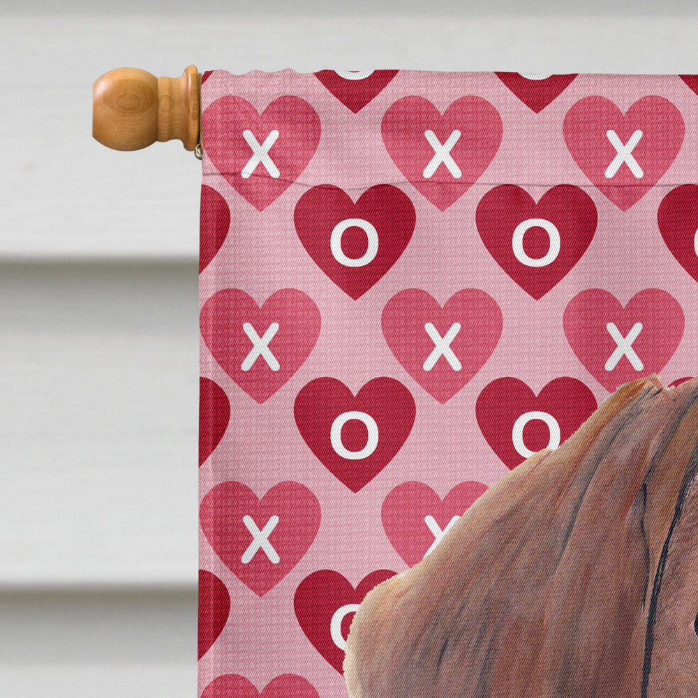 Dachshund Hearts Love Valentine's Day Flag Canvas House Size