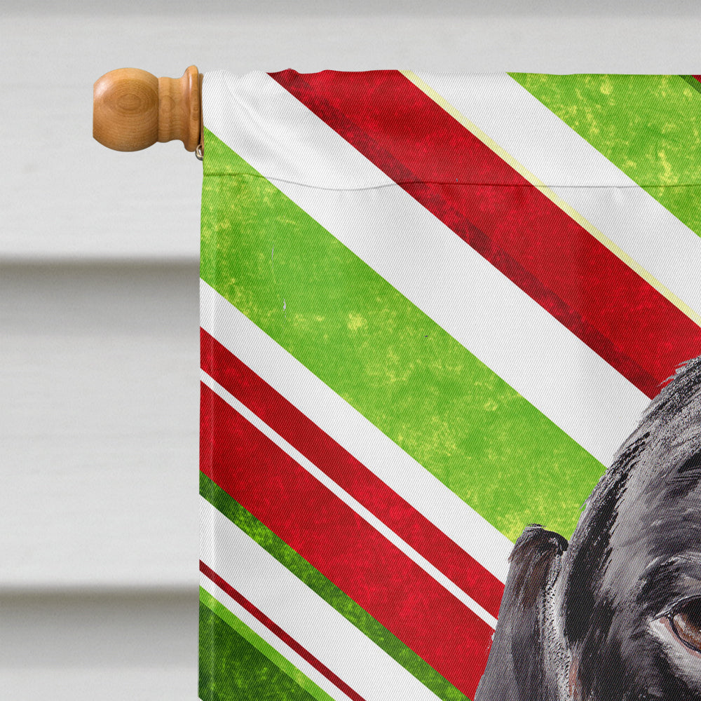 Dachshund Candy Cane Holiday Christmas Flag Canvas House Size