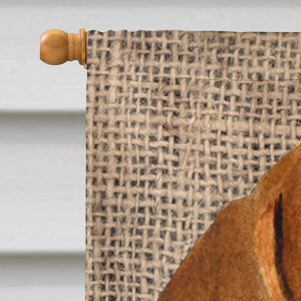 Dachshund Flag Canvas House Size