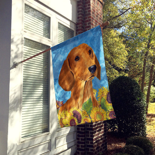 Dachshund Flag Canvas House Size