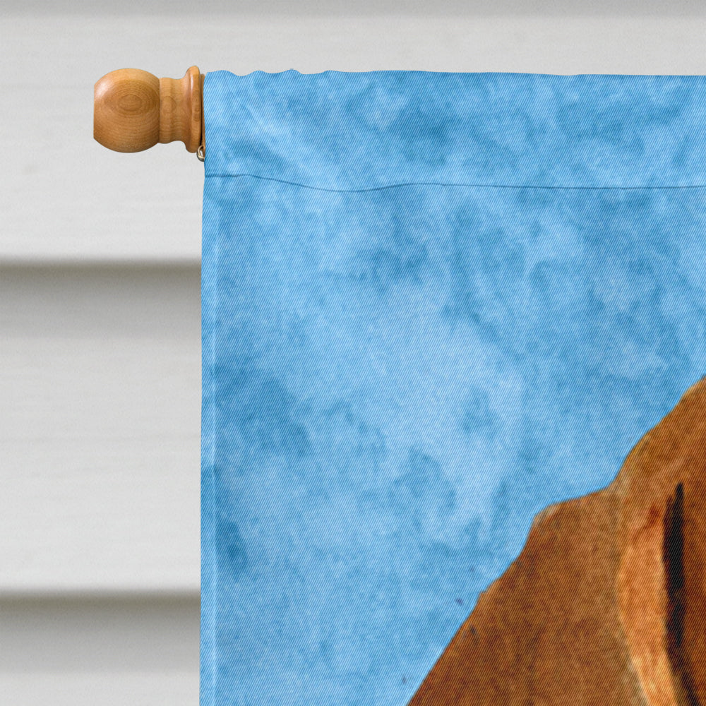 Dachshund Flag Canvas House Size