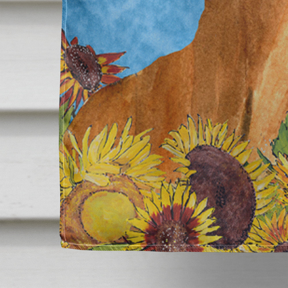 Dachshund Flag Canvas House Size