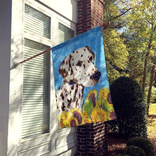 Dalmatian Flag Canvas House Size