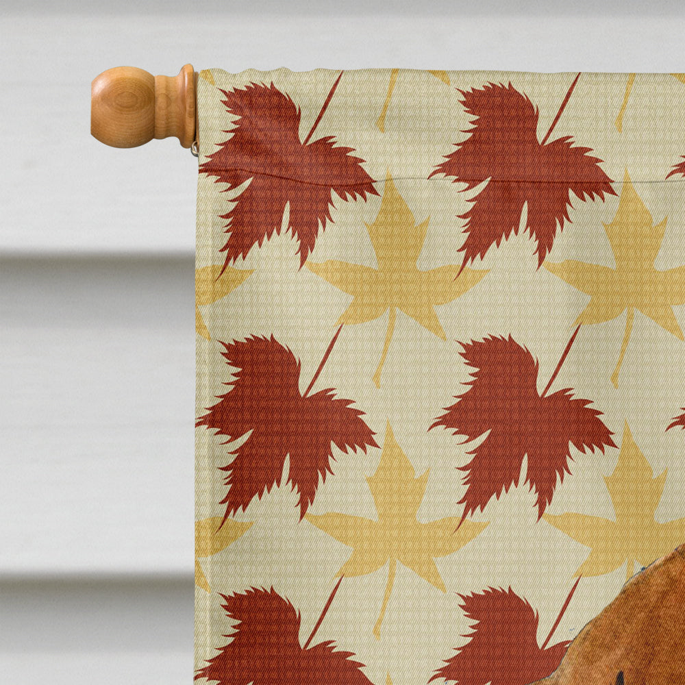 Dachshund Fall Leaves Portrait Flag Canvas House Size
