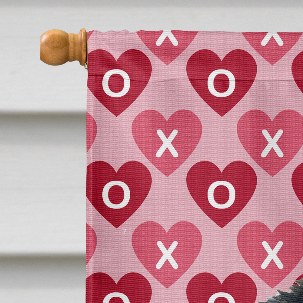 Akita Hearts Love and Valentine's Day Portrait Flag Canvas House Size