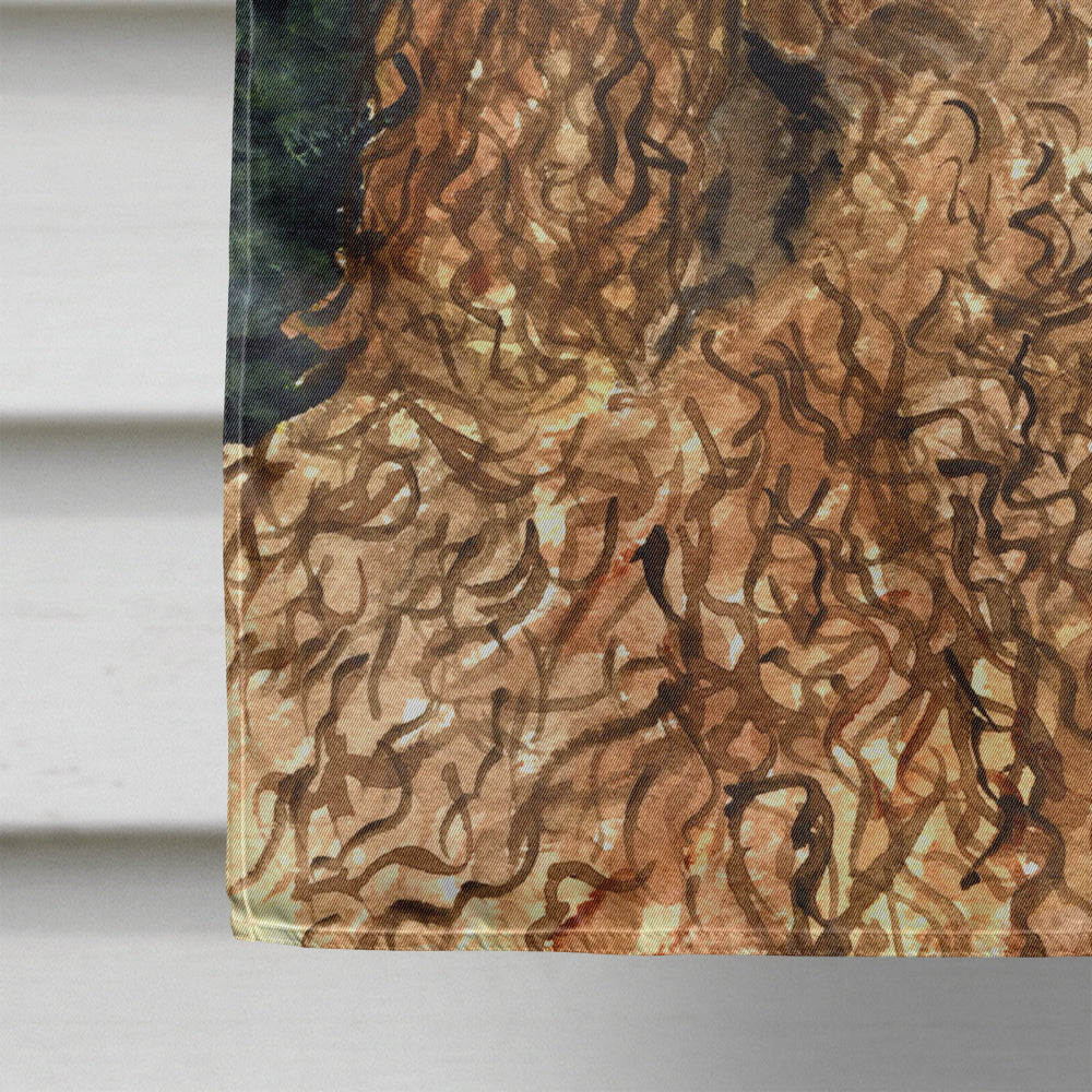 American Water Spaniel Flag Canvas House Size