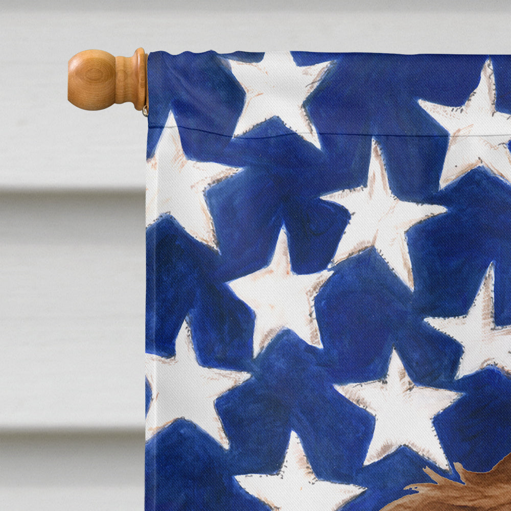 Longhaired Chocolate and Tan Dachshund American Flag House Flag
