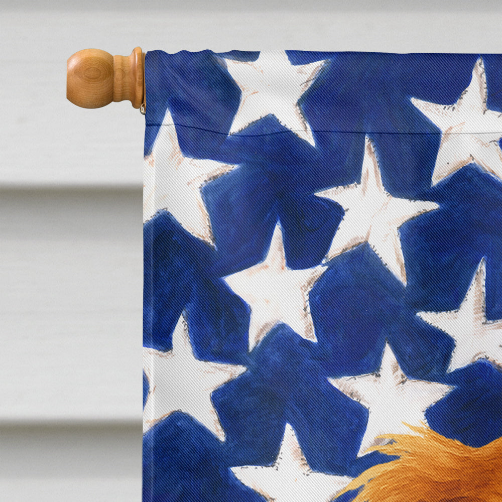 Longhaired Red Dachshund American Flag House Flag