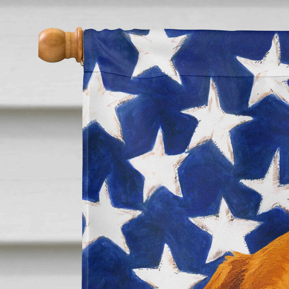 Red Dachshund American Flag House Flag