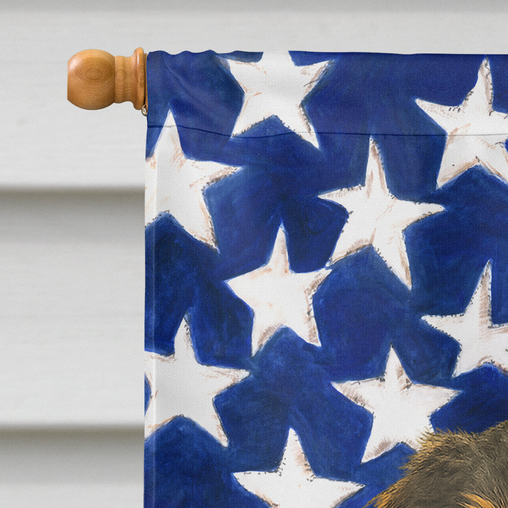 Wirehaired Black and Tan Dachshund American Flag House Flag