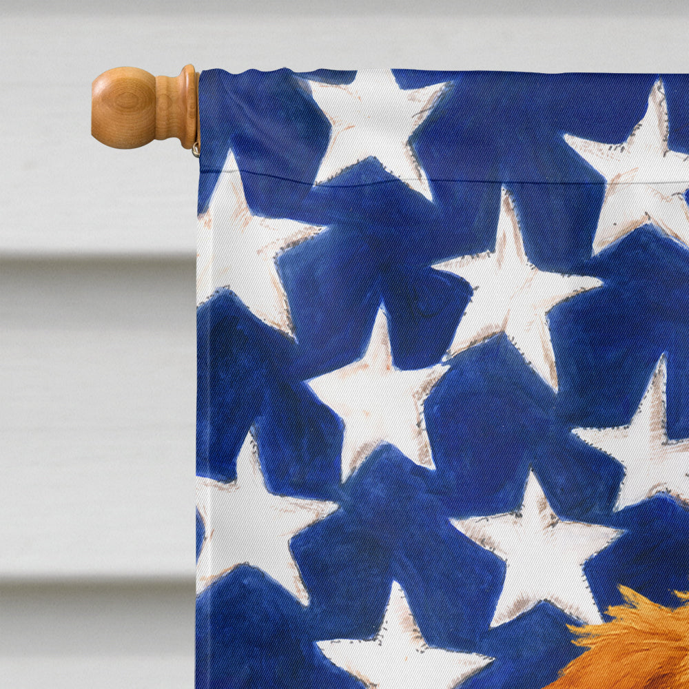 Wirehaired Red Dachshund American Flag House Flag