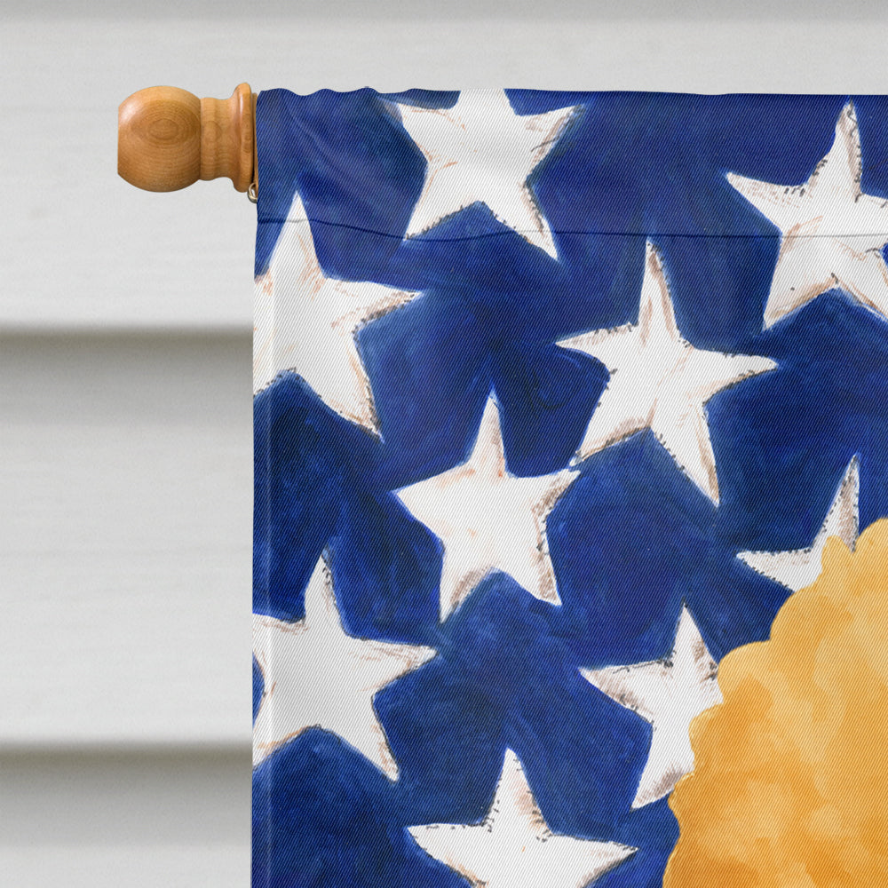 Apricot Miniature Poodle American Flag House Flag