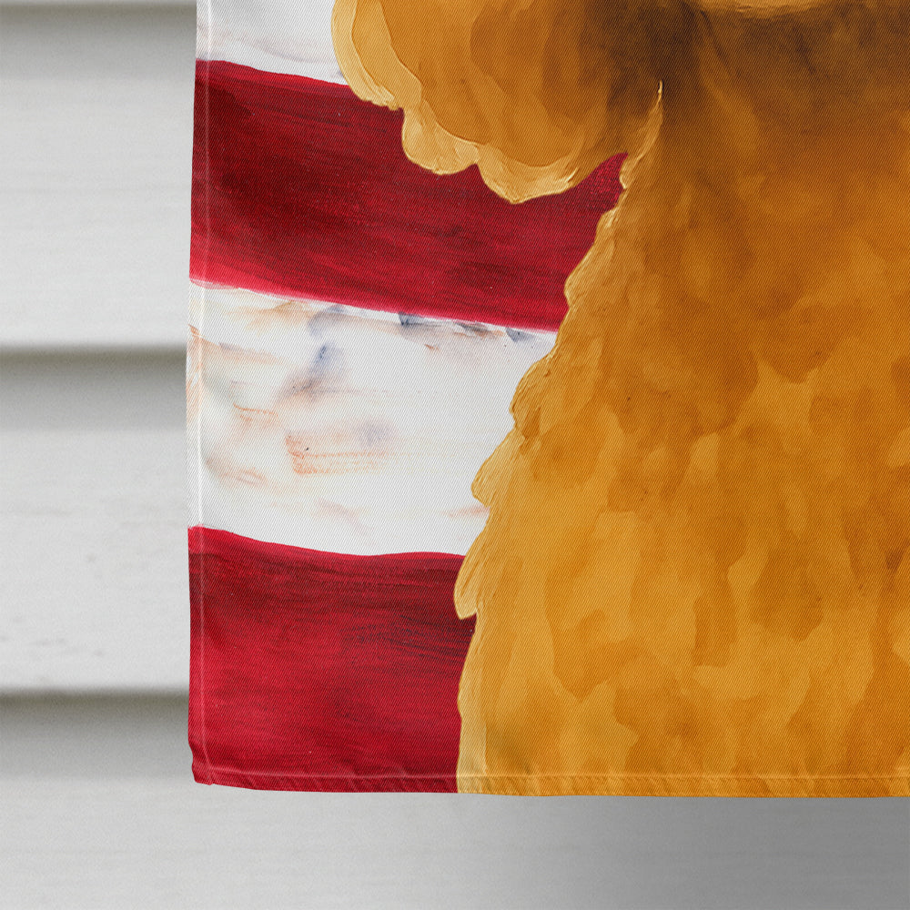 Apricot Miniature Poodle American Flag House Flag